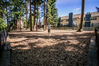Pet Friendly Apartments with Off-Leash Dog Park with Grass and Trees Near PCC Rock Creek